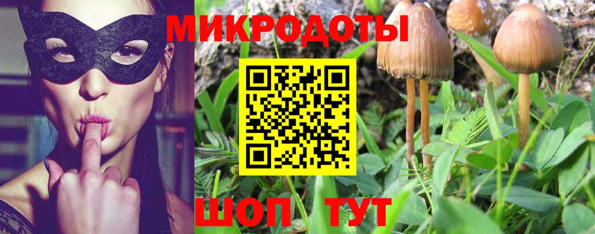 Псилоцибиновые грибы Psilocybine cubensis  Вход с VPN  Галлюциногенные грибы Psilocybine cubensis  Прохладный 